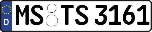 MS-TS3161