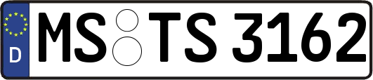 MS-TS3162