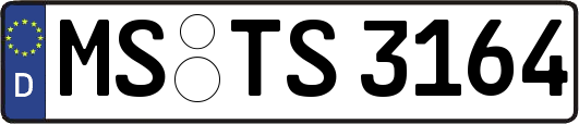 MS-TS3164