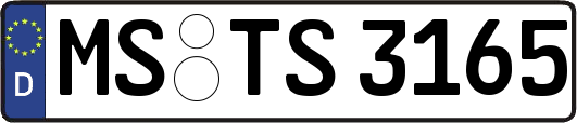 MS-TS3165