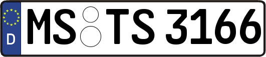 MS-TS3166