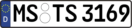MS-TS3169