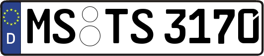 MS-TS3170