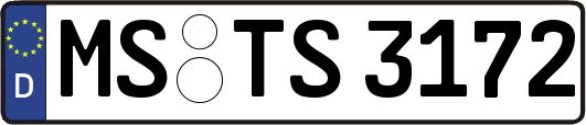 MS-TS3172