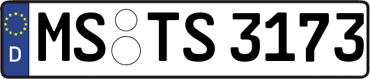 MS-TS3173