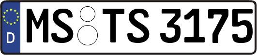 MS-TS3175
