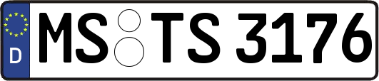 MS-TS3176