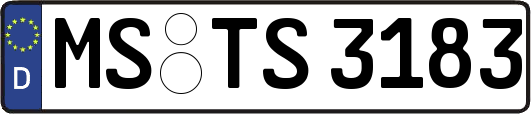 MS-TS3183