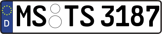 MS-TS3187