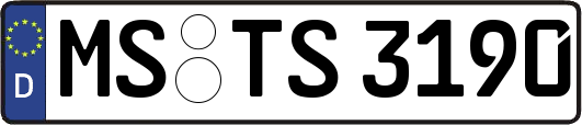 MS-TS3190