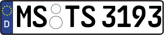 MS-TS3193