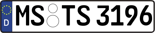 MS-TS3196