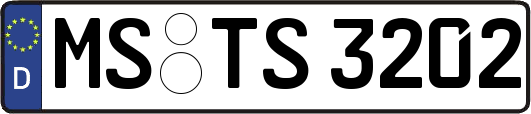MS-TS3202