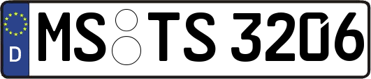 MS-TS3206