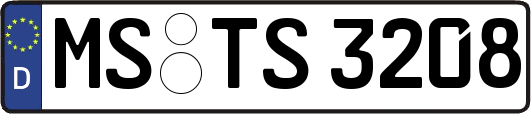 MS-TS3208
