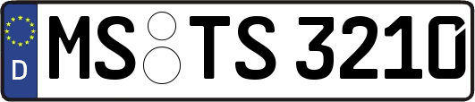 MS-TS3210