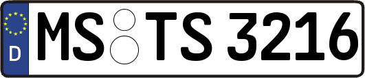 MS-TS3216