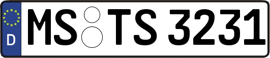 MS-TS3231