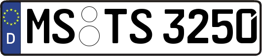 MS-TS3250