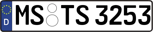 MS-TS3253