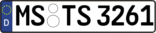 MS-TS3261