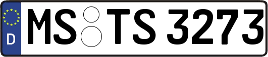 MS-TS3273