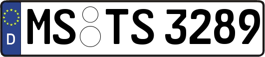 MS-TS3289
