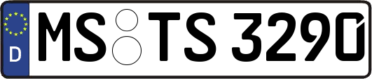 MS-TS3290