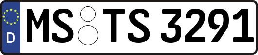 MS-TS3291
