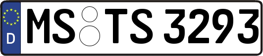 MS-TS3293