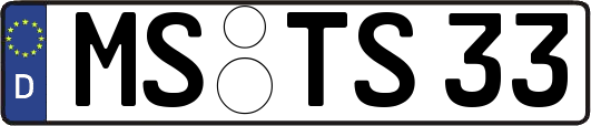 MS-TS33