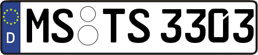 MS-TS3303