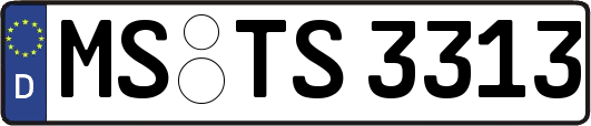 MS-TS3313