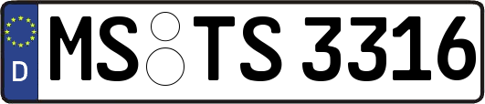 MS-TS3316