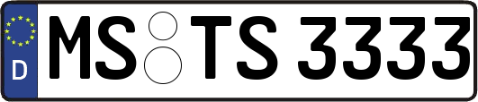 MS-TS3333