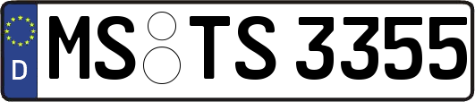 MS-TS3355