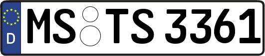 MS-TS3361