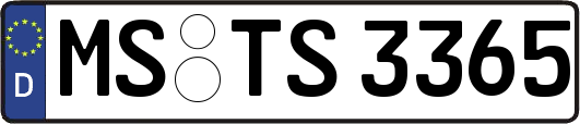 MS-TS3365