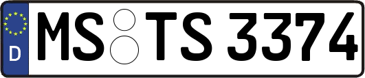 MS-TS3374