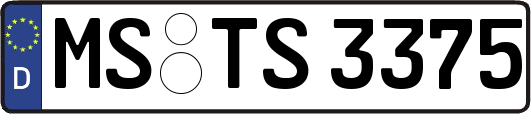 MS-TS3375