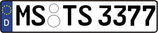 MS-TS3377