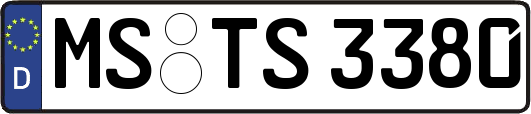 MS-TS3380
