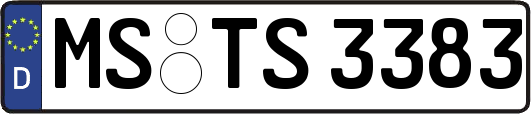 MS-TS3383