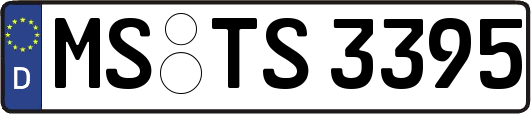 MS-TS3395