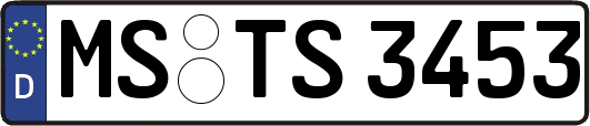 MS-TS3453
