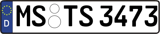 MS-TS3473