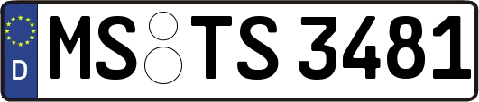 MS-TS3481