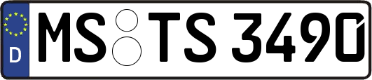 MS-TS3490