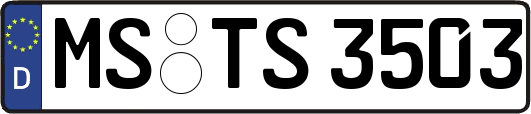 MS-TS3503