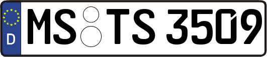MS-TS3509